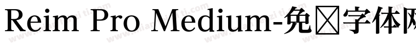 Reim Pro Medium字体转换